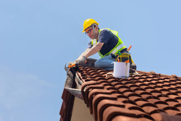 Best Roof Ventilation Installation  in Aragon, GA